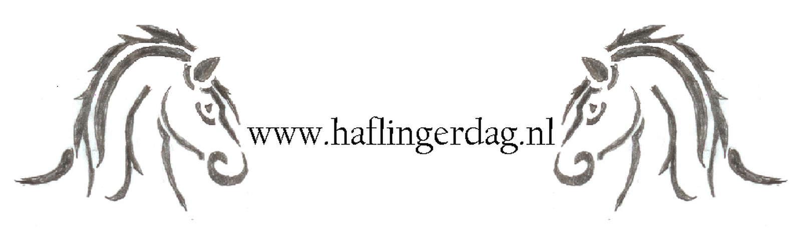 Haflingerdag Leusden